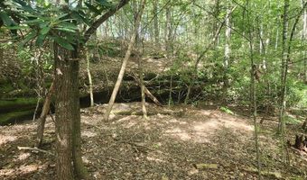 20 Bluff View Loop, Allardt, TN 38504
