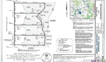 Tract B BOOMERANG Road lot Tract, Amite, LA 70422