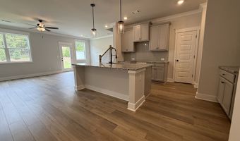 321 Brook Landing Cir, Auburn, GA 30011