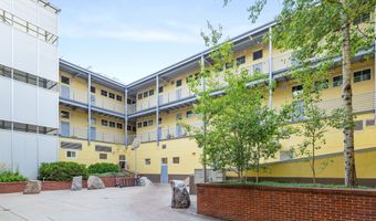 231 Robinson St 218, Basalt, CO 81621