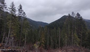 480 Dunn Peak Rd, Avery, ID 83802