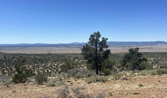 295 Old Deputy Shortline, Ash Fork, AZ 86320