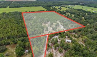 3670 25th Cir, Bell, FL 32619