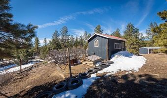 463 Chimney Dr, Bayfield, CO 81122