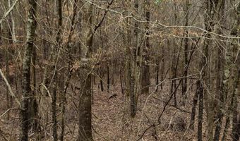 0 HWY 220, Lincolnton, GA 30817