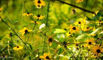 Cypress Pointe Drive lot 16, Brooksville, MS 39739