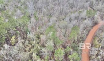 21000 Block Highway 21, Beatrice, AL 36425