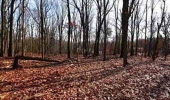 BELL Avenue, Barrington, NJ 08007