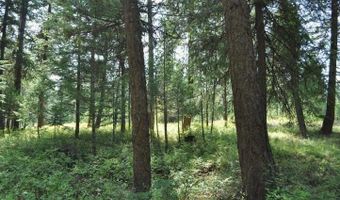 39 Forest Ridge Rd, Blanchard, ID 83804