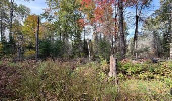 9403 CTH A, Alvin, WI 54542