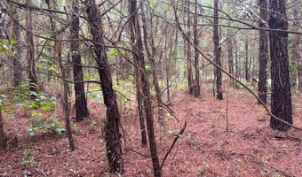 0 Pebble Cove Rd, Abbeville, AL 36310