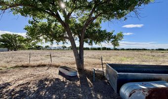 Noah D-2 Lane, Belen, NM 87002
