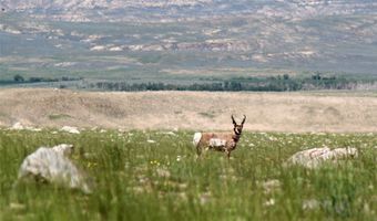 Nhn Ruby Creek Road 946-18, Belfry, MT 59008