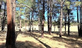6 County Rd N2127, Alpine, AZ 85920