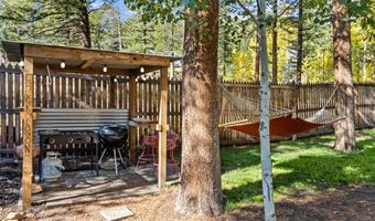 11982 Peak To Peak Dr, Allenspark, CO 80510