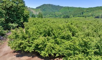 17246 ALSEA Hwy, Alsea, OR 97324