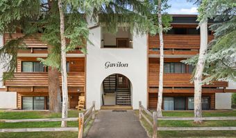 935 E Hopkins Ave 7, Aspen, CO 81611