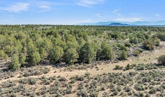 20 Acres Highway 285, Carson, NM 87577