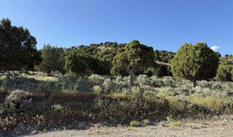 2006 Swenson Valley Rd, Bancroft, ID 83217