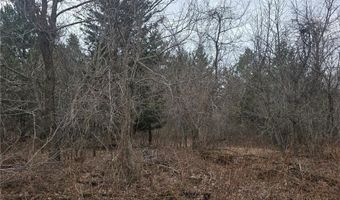 L11 B1 288th Ave Avenue NW, Baldwin Twp., MN 55398