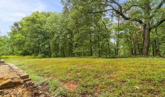 1073 Mountain Side Cv, Alexander, AR 72002