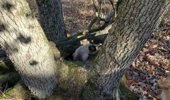 4775 S 50th Rd, Aldrich, MO 65601