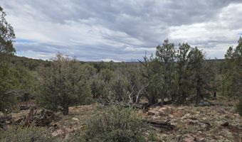 133 Arizona Rd, Ash Fork, AZ 86320