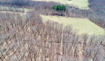 Lot 2 Doig Hollow Road, Andes, NY 13731