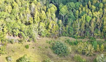 Eugene Ward Road, Adrian, GA 31002