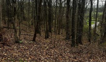 County Road 197, Athens, TN 37303
