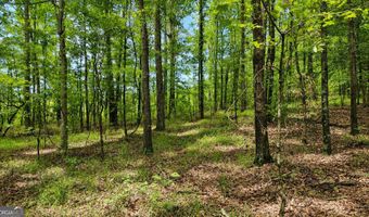 144 U.S Highway 341 S, Barnesville, GA 30204