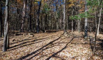 Lot 33 S Badger Lane, Arkdale, WI 54613
