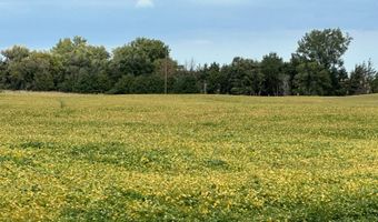 153 Acres Rock County, Bassett, NE 68714