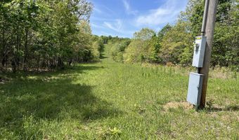County Road P-309, Alton, MO 65606