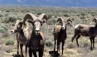 149 Hwy 567, Carson, NM 87517
