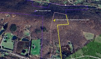 1398 Canada Hollow Rd, Andes, NY 13731