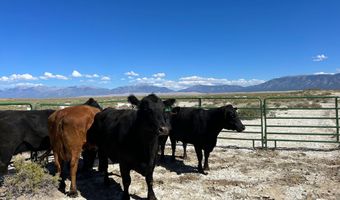 Alamosa County Parcel # 5139301, Alamosa, CO 81101