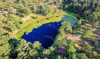 6355 Cobbham Rd, Appling, GA 30802