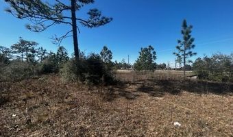 NW County Rd 274, Altha, FL 32421