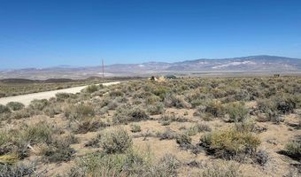 1220 SETTLER'S Way, Dyer, NV 89010