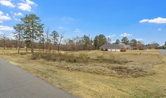 4766 Fairway Hills Ave, Blanchard, LA 71107
