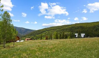 1239 Mclaughlin Ln, Basalt, CO 81621
