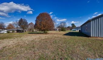 30109 Fort Hampton St, Ardmore, TN 38449