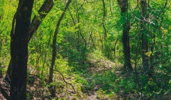 1471 Chapman Ct, Annetta, TX 76008
