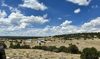 Lot 49 Windsor Valley Ranch, Concho, AZ 85924