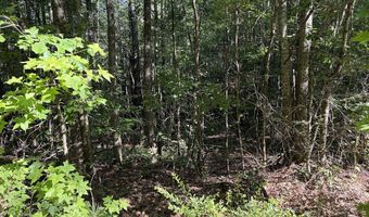 Creek Road lot 5, Ashland, AL 36251