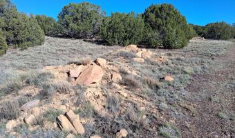 68 N 8171, Concho, AZ 85924