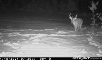 8752 HWY A, Almond, WI 54909