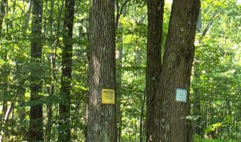 11128 Coleman Rd, Bennington, IN 47011