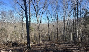 E Hwy 14 Private Drive F, Ava, MO 65608